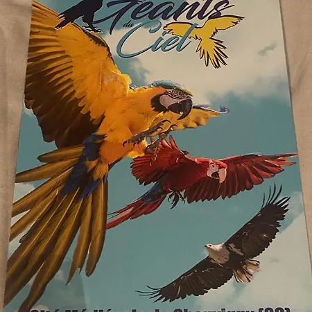 Charmante Du 17eme Siecle A Lilette Avec Jacuzzi Et Proche Riviere Buxeuil (Vienne)