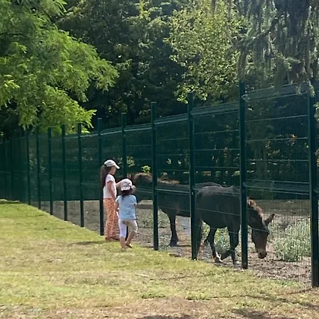 Charmante Du 17eme Siecle A Lilette Avec Jacuzzi Et Proche Riviere Buxeuil