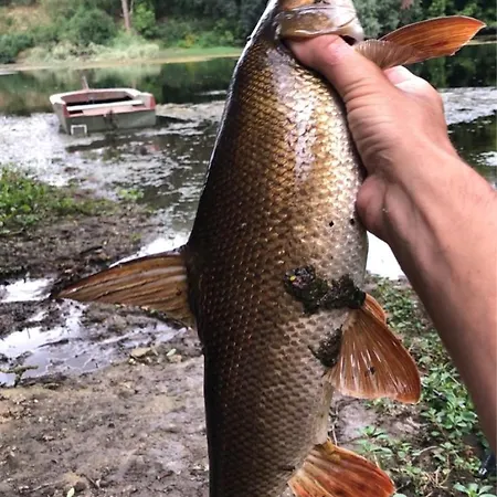 Prázdninový dům Charmante Du 17eme Siecle A Lilette Avec Jacuzzi Et Proche Riviere