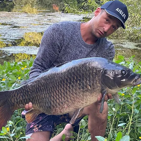 別荘 Charmante Du 17eme Siecle A Lilette Avec Jacuzzi Et Proche Riviere